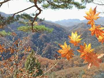 桐乡车祸深度报道，事故现场及后续处理最新情况