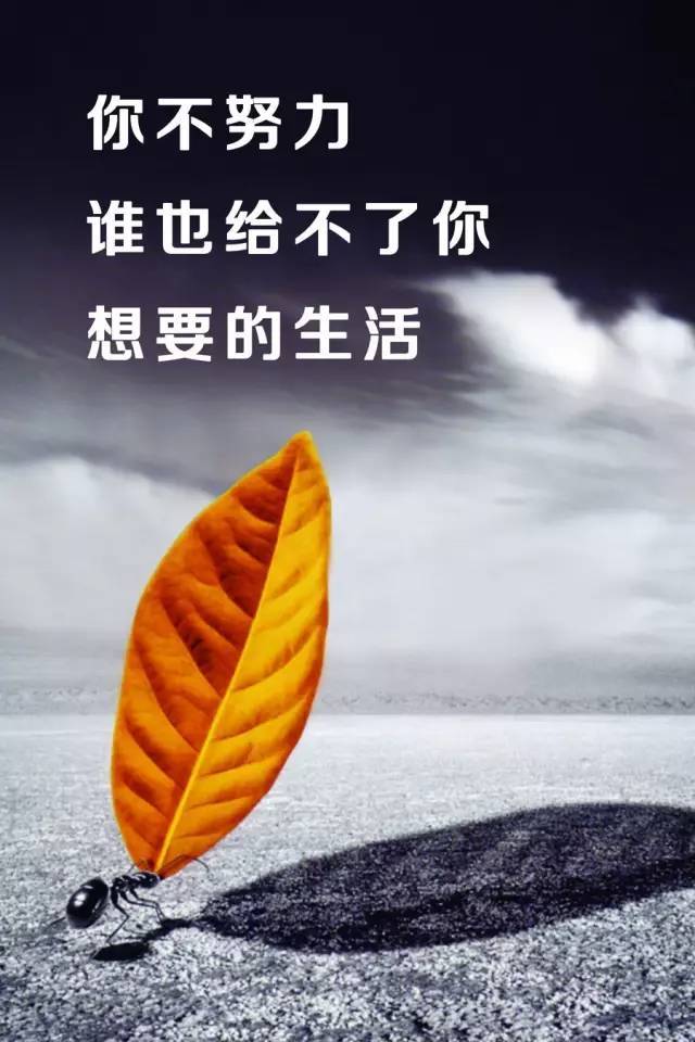 励志启示，燃烧生命，勇敢追梦，最新励志语录分享