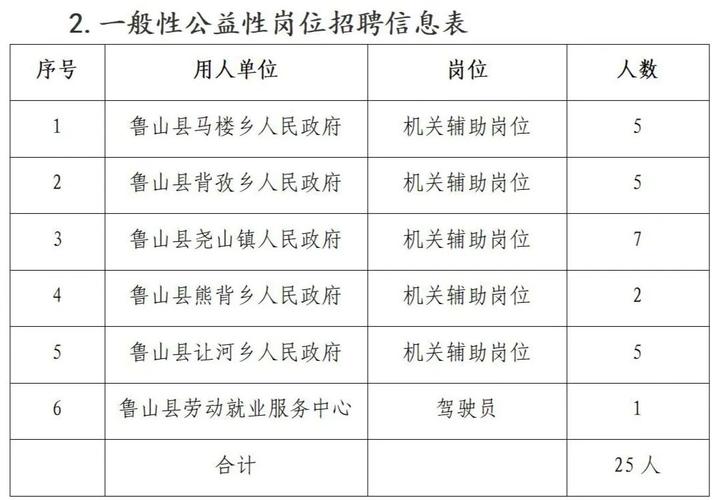 鲁山县城最新招聘信息全面解析